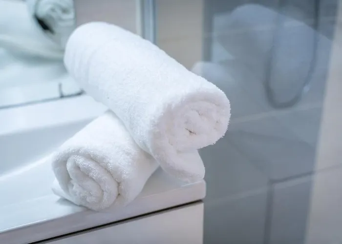 Апартаменты Hall Et Parking Prive *